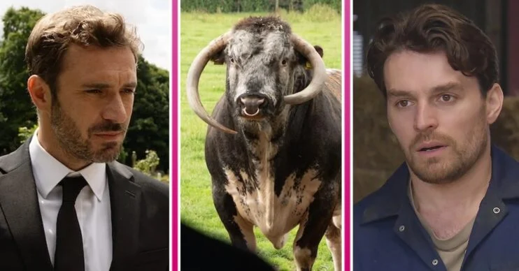 Read more about the article Emmerdale spoilers tonight: Mack seriously injured in bull chase